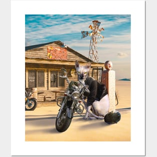 Sphynx Hairless Cat Motorbike Motorcycle Posters and Art